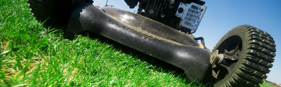 home_header_mower.jpg