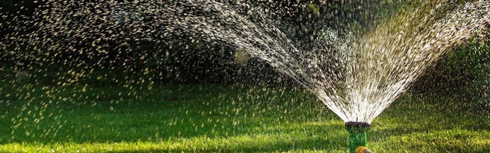 home_header_sprinkler.jpg